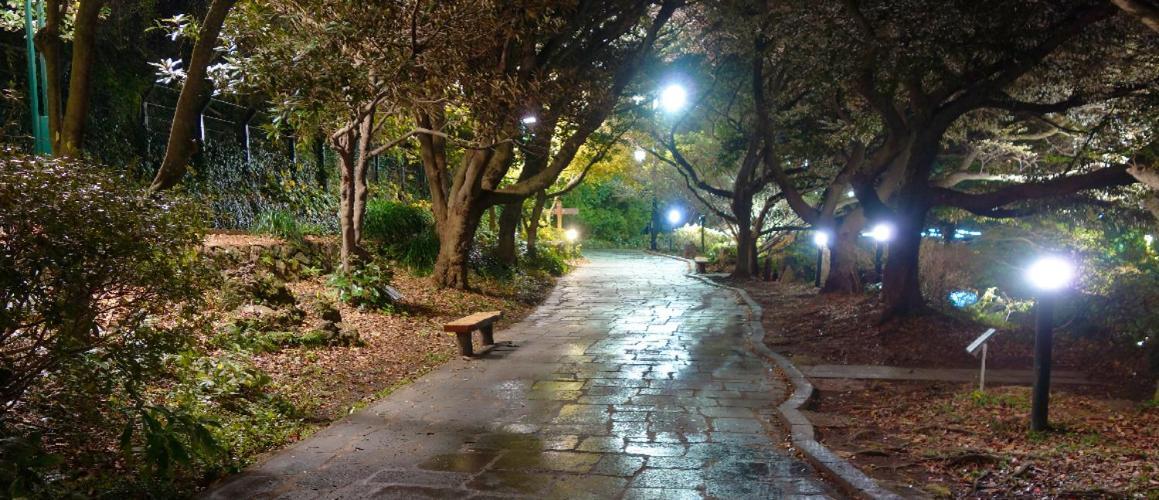 Hotel The Grang Seogwipo Dış mekan fotoğraf